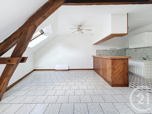 maison - OLIVET - 45