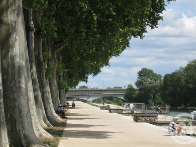 Appartement Studio à louer - 1 pièce - 19.0 m2 - ORLEANS - 45 - CENTRE - Century 21 Premium